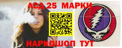 спиды Гатчина