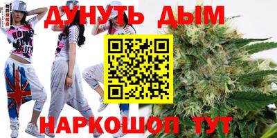 спиды Гатчина