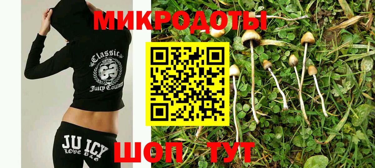 Псилоцибиновые грибы MAGIC MUSHROOMS  Вход с VPN  Нефтекамск  Галлюциногенные грибы Cubensis 